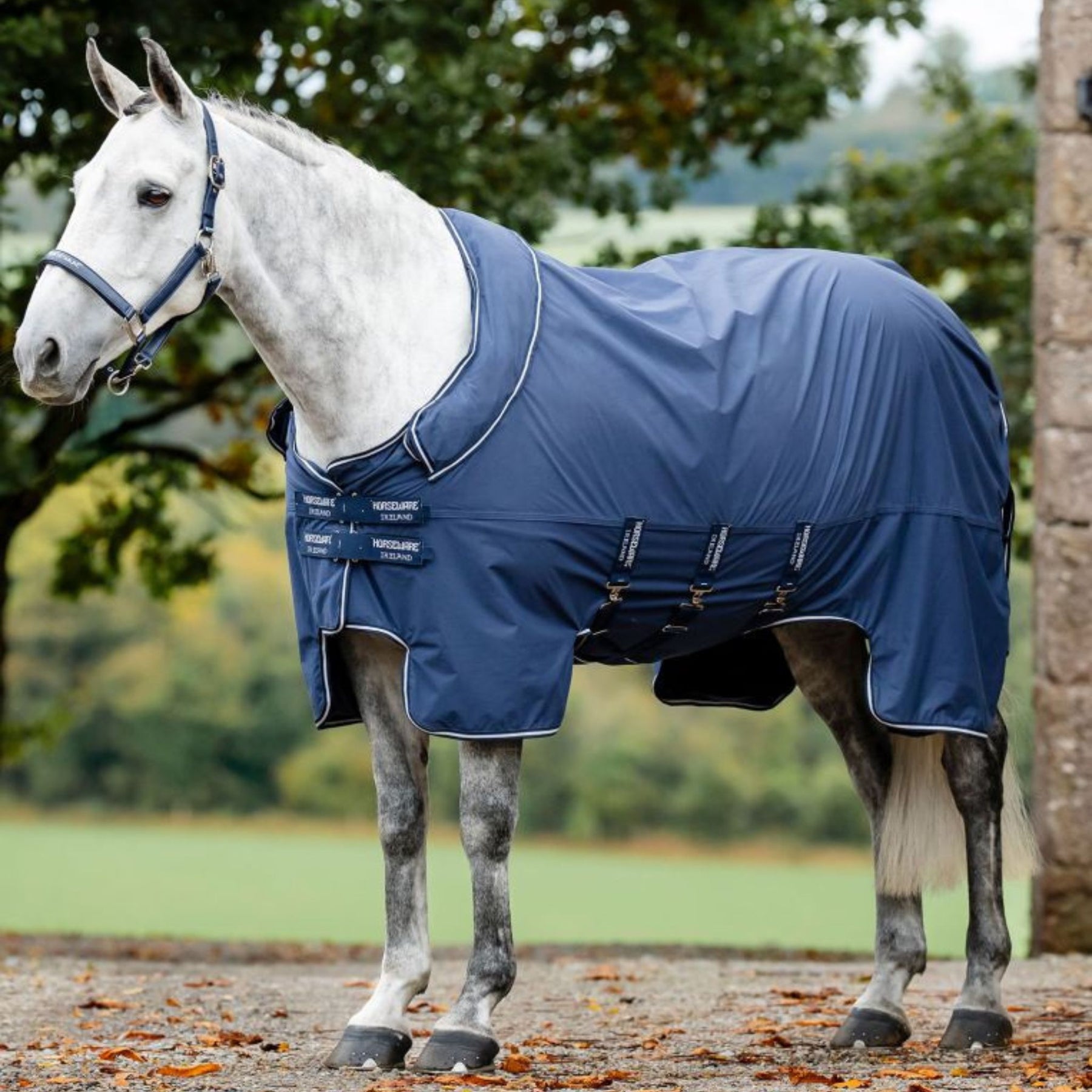 Horseware Show-Ready Rug in Navy & Silver