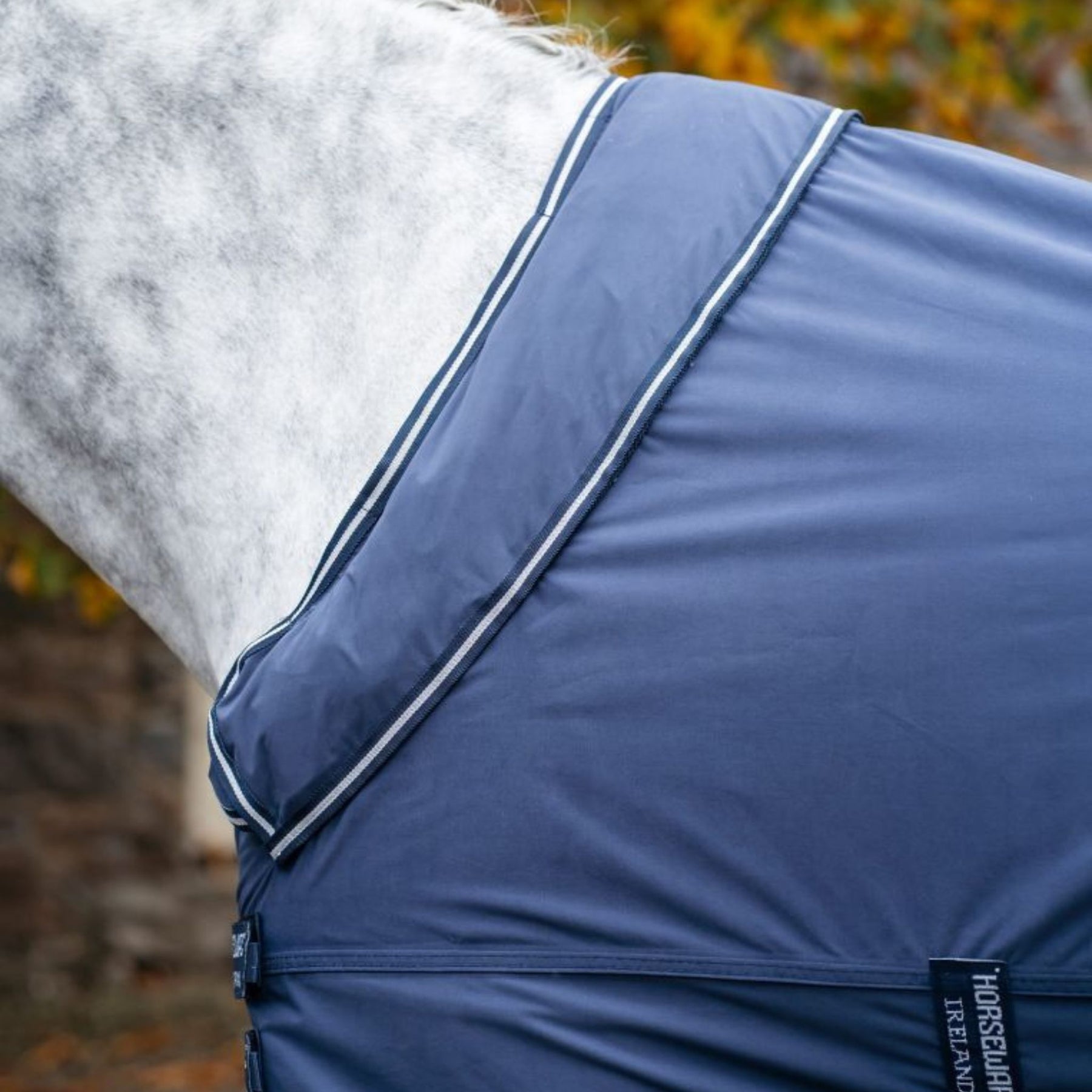 Horseware Show-Ready Rug in Navy & Silver