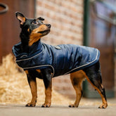 Horseware Signature Dog Medium Rug in Navy (200g)