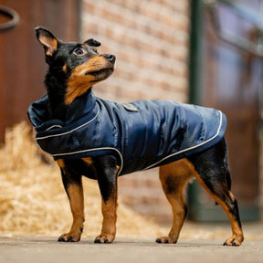 Horseware Signature Dog Medium Rug in Navy (200g)