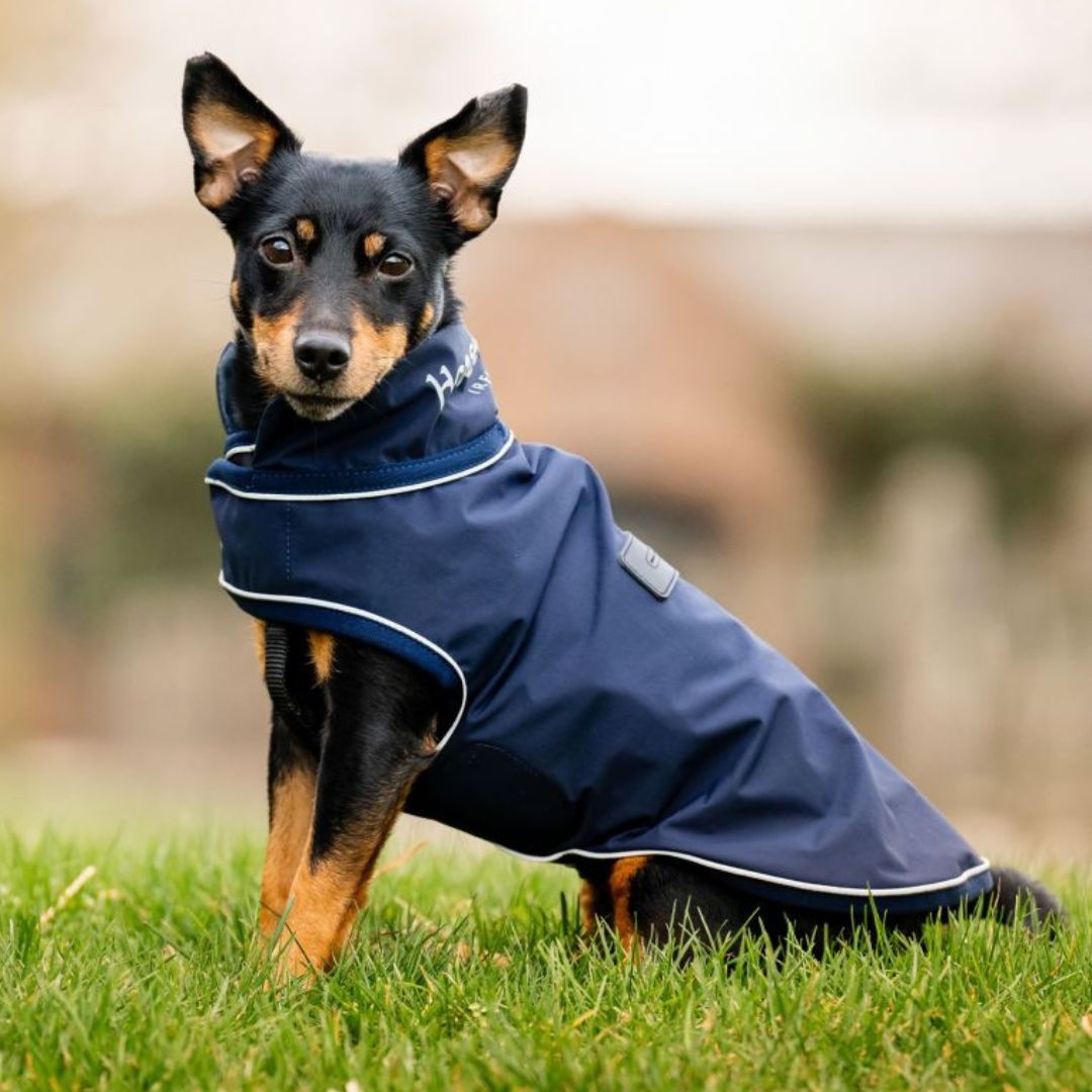 Horseware Signature Dog Rain Coat in Navy (No Fill)