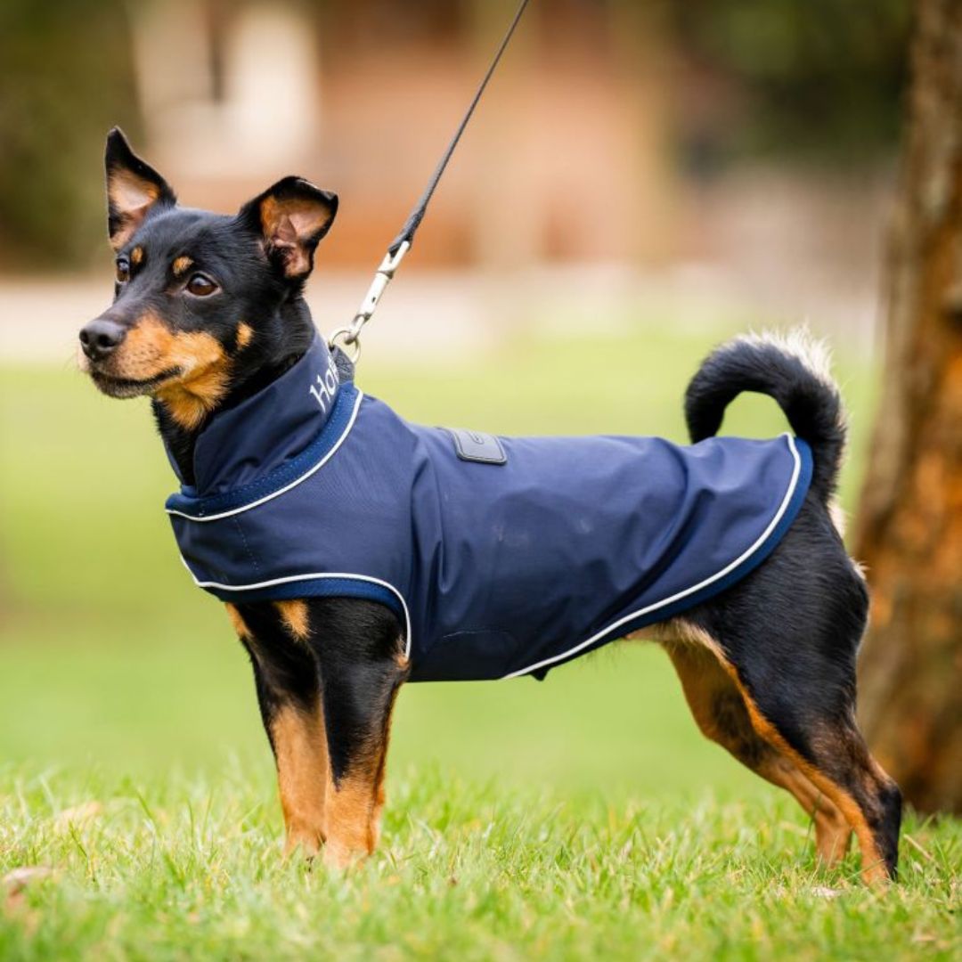 Horseware Signature Dog Rain Coat in Navy (No Fill)