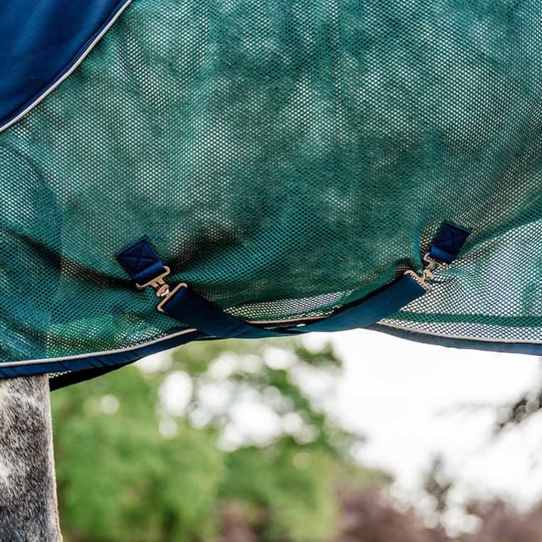 Horseware Signature Sport Cooler in Navy & Hunter Green (No Fill)