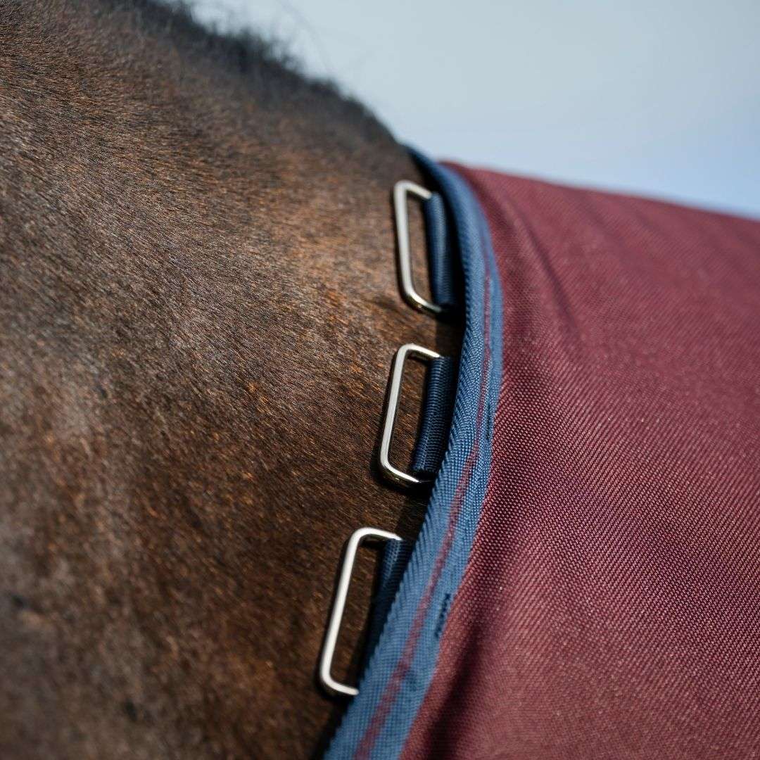 Horseware Amigo Bravo 1200D Plus Turnout Rug in Burgundy/Navy (250g)
