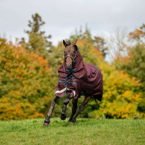 Horseware Amigo Bravo 1200D Plus Turnout Rug in Burgundy/Navy (250g)