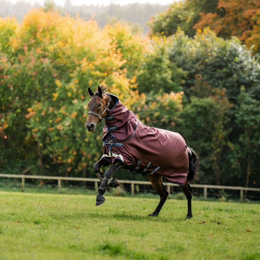 Horseware Amigo Bravo 1200D Plus Turnout Rug in Burgundy/Navy (250g)