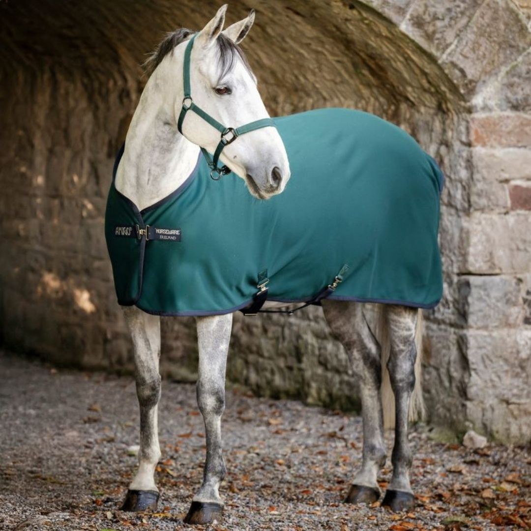 Horseware Amigo Jersey Cooler Rug in Dynasty Green
