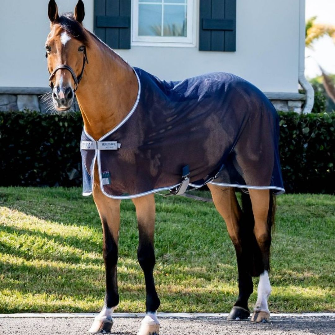 Horseware Amigo Net Cooler in Navy/Titanium Grey & Silver