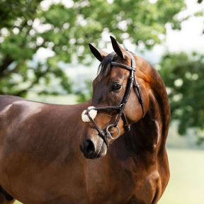 Horseware Figure 8 Grackle Bridle in Brown