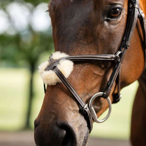 Horseware Figure 8 Grackle Bridle in Brown
