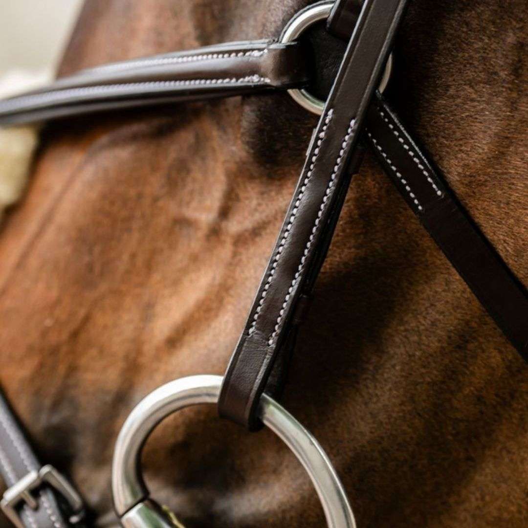 Horseware Figure 8 Grackle Bridle in Brown