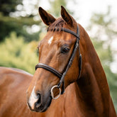 Horseware Hunter Bridle in Havana Brown