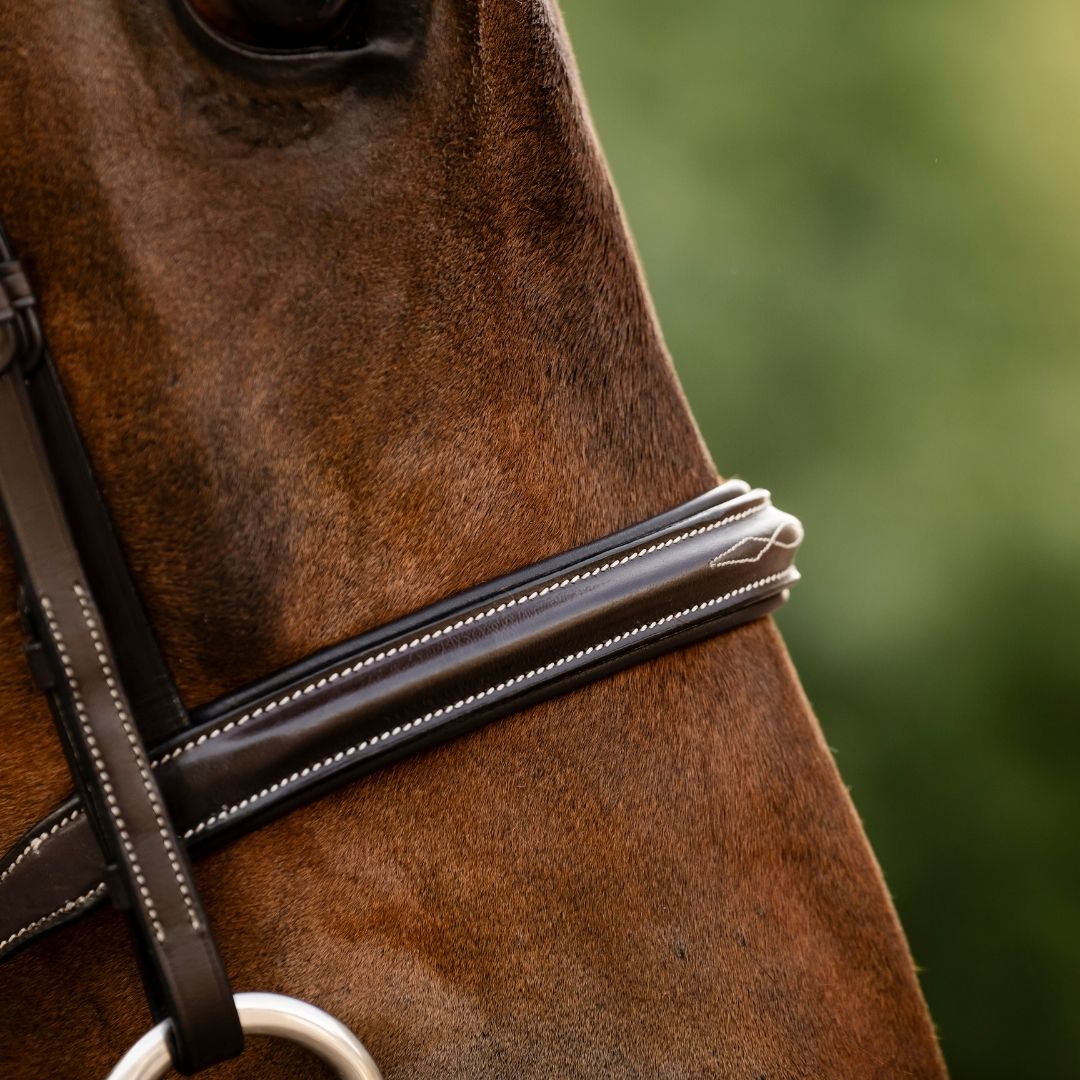 Horseware Hunter Bridle in Havana Brown
