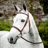 Horseware Hunter Cavesson Bridle With Reins in Brown