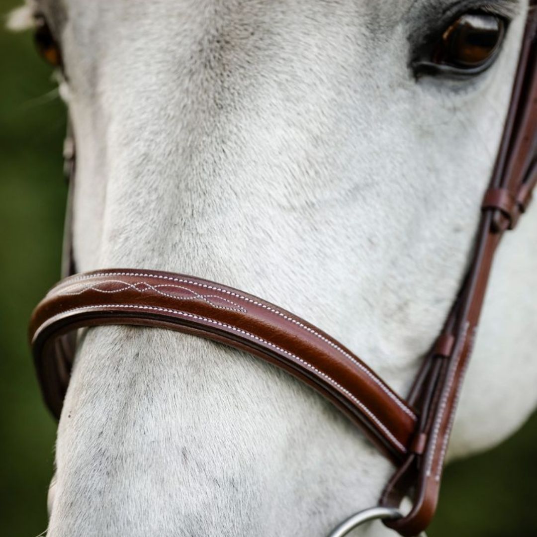 Horseware Hunter Cavesson Bridle With Reins in Brown