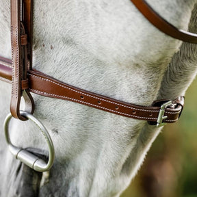 Horseware Hunter Cavesson Bridle With Reins in Brown