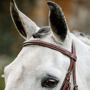 Horseware Hunter Cavesson Bridle With Reins in Brown