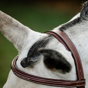 Horseware Hunter Cavesson Bridle With Reins in Brown
