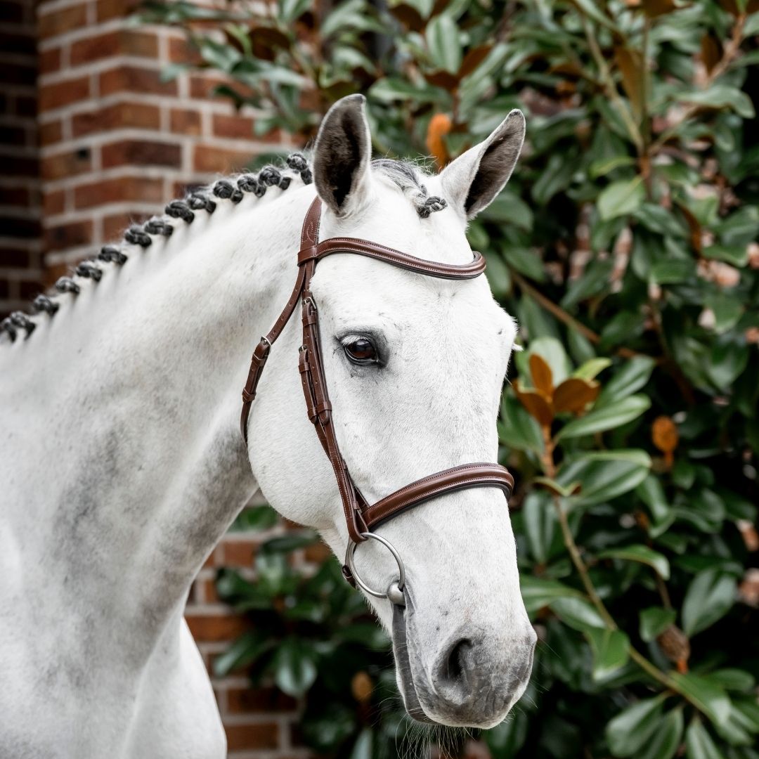 Horseware Hunter Cavesson Bridle With Reins in Brown