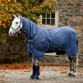 Horseware Show Ready Wraps in Black