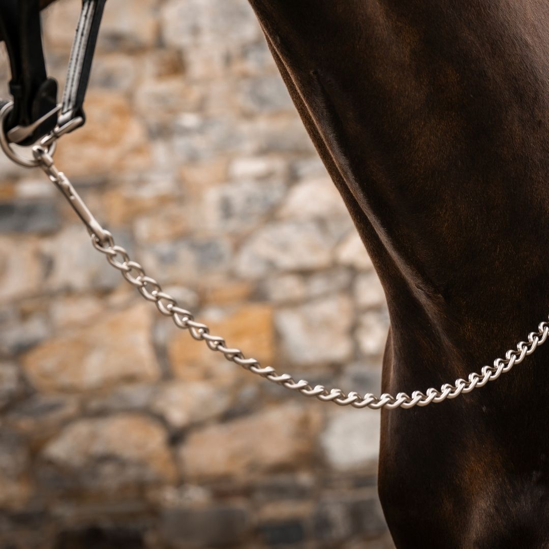 Horseware Signature Lead With Chain in Black