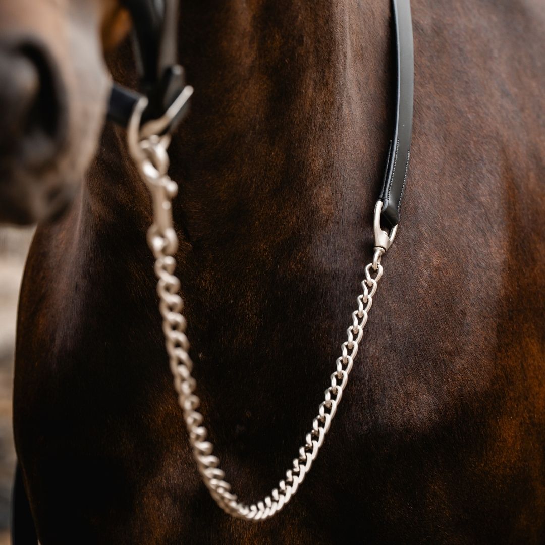 Horseware Signature Lead With Chain in Black