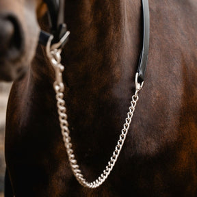 Horseware Signature Lead With Chain in Black