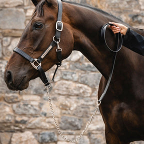 Horseware Signature Lead With Chain in Brown