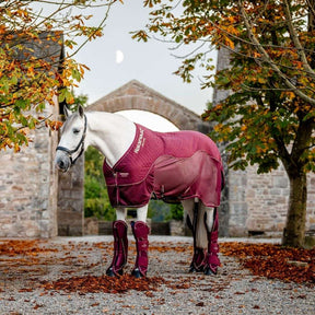 Horseware Signature Travel Boots in Burgundy