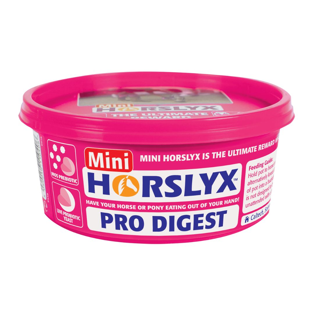 Horslyx Pro Digest Mini 650g