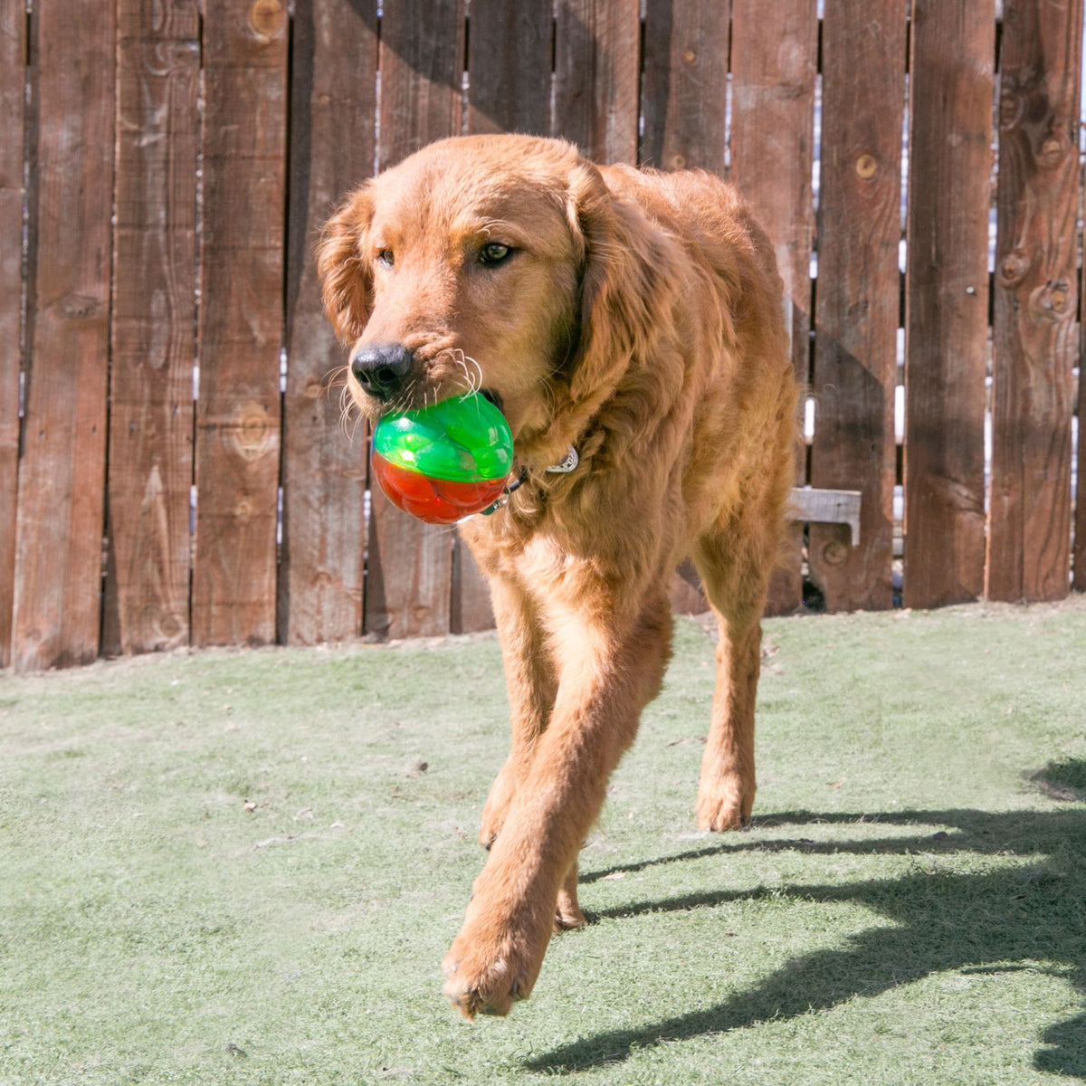 KONG Twistz High-Viz Ball Dog Toy