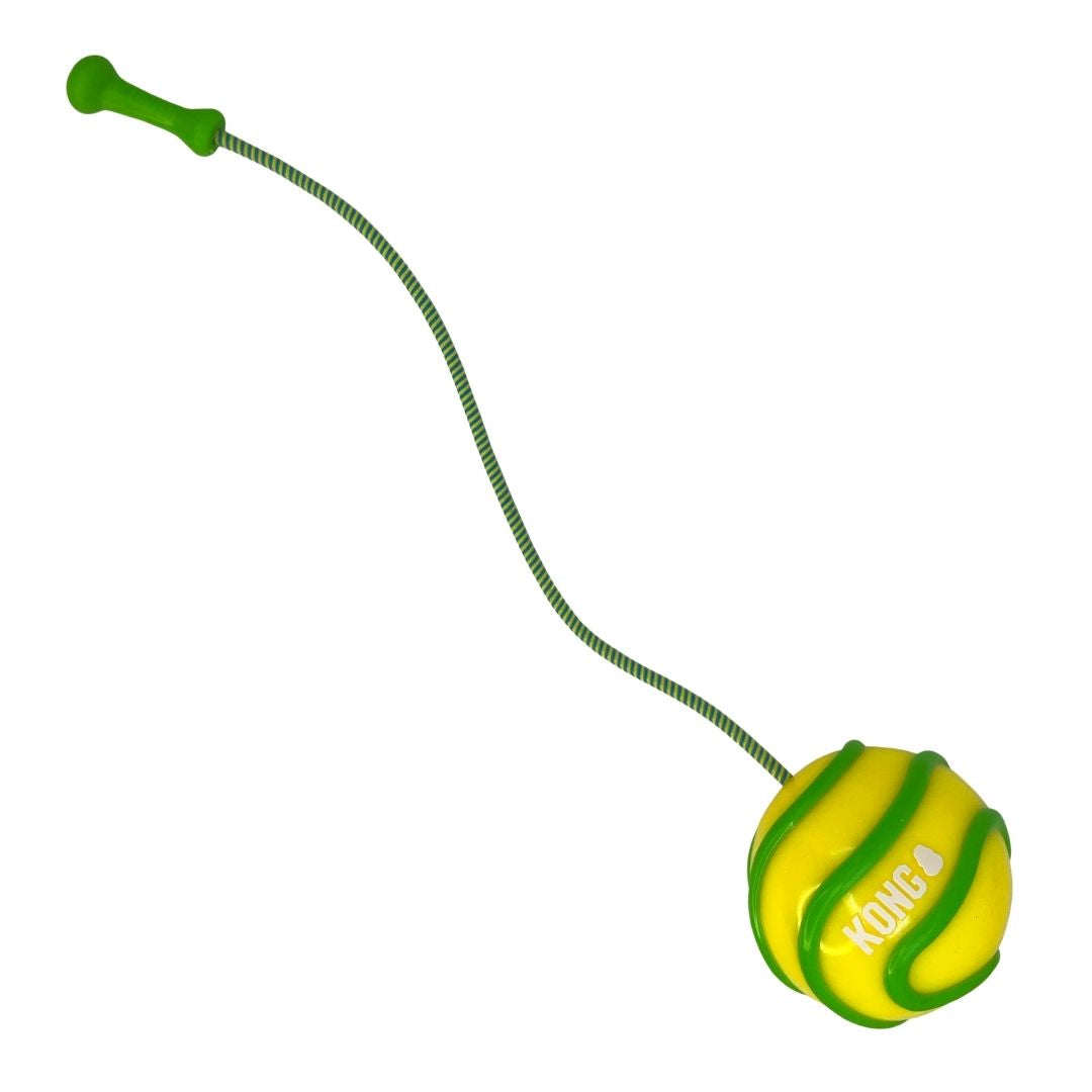 KONG Bunji High-Viz Ball Dog Toy