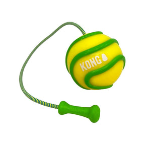 KONG Bunji High-Viz Ball Dog Toy