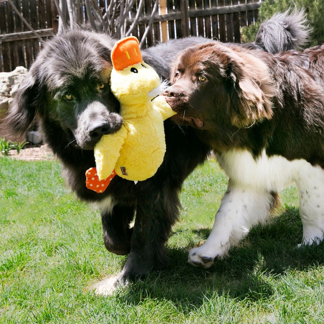 KONG Comfort Jumbo Duck Dog Plush Toy
