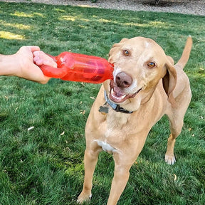 KONG Jumbler Tug Dog Toy