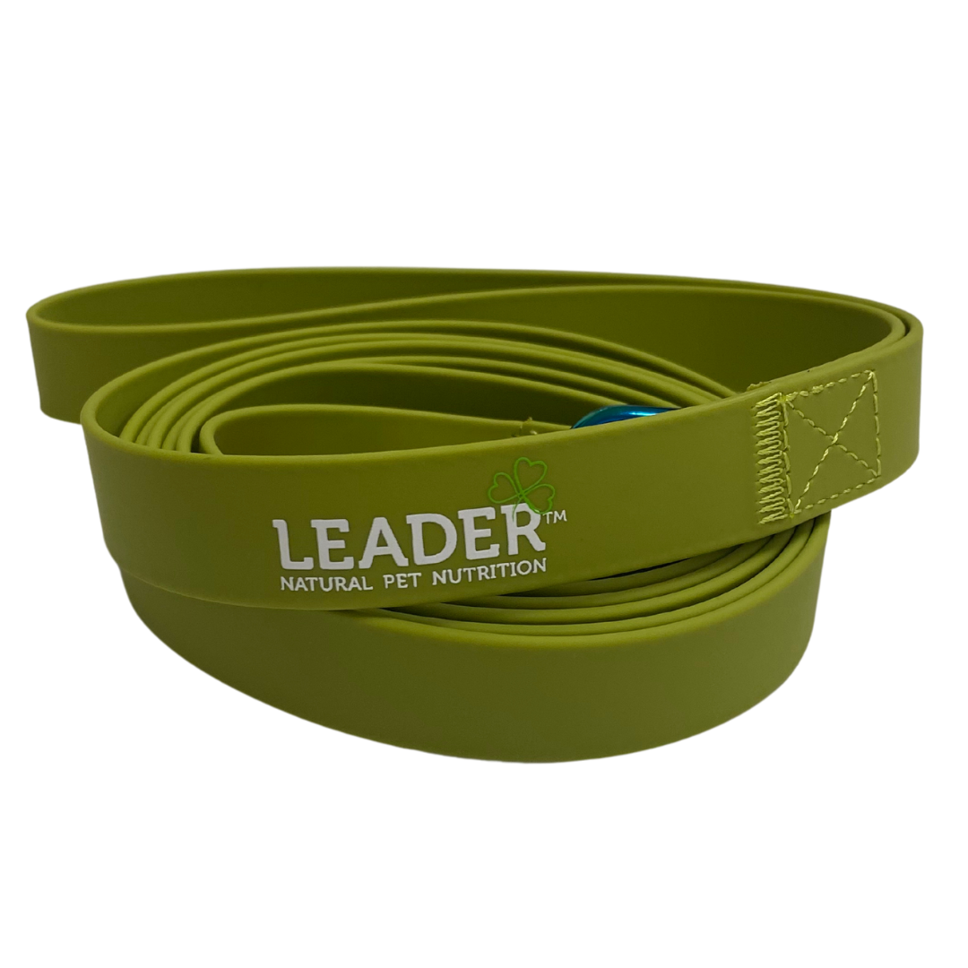Leader Dog Lead in Green