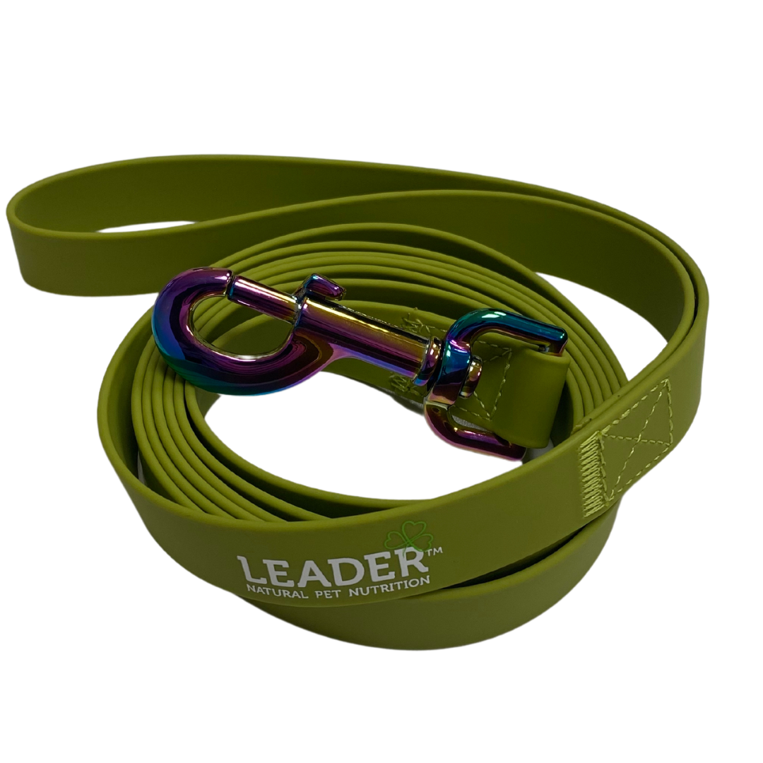 Leader Dog Lead in Green