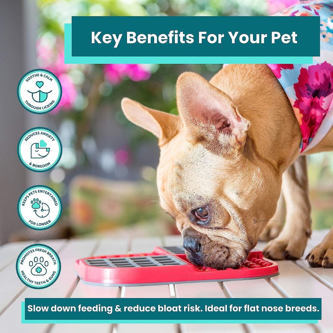 LickiMat Slomo Pet Feeding Mat in Turquoise