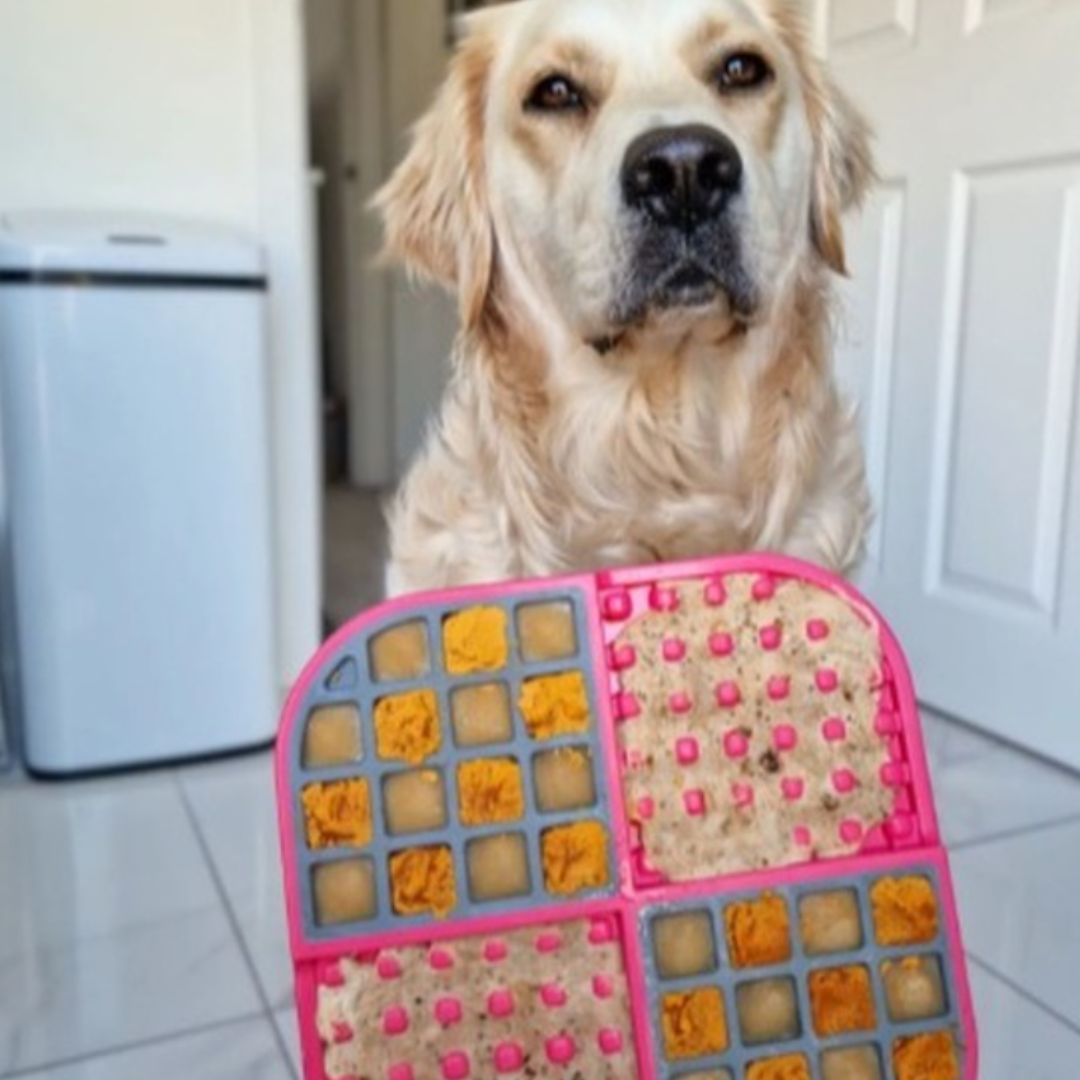 LickiMat Slomo Pet Feeding Mat in Turquoise