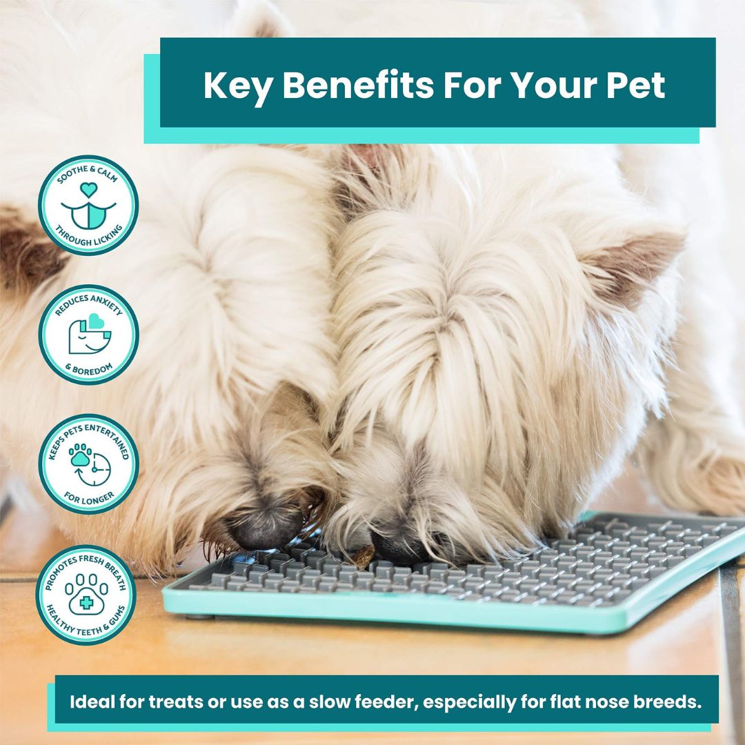 LickiMat Soother Pro Tuff Dog Slow Feeding Mat in Turquoise