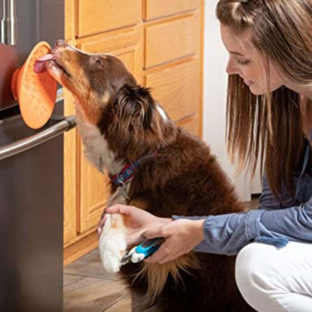 LickiMat Splash Slow Feeder with Suction Cup in Turquoise