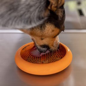 LickiMat Ufo Pet Slow Feeder Bowl in Orange