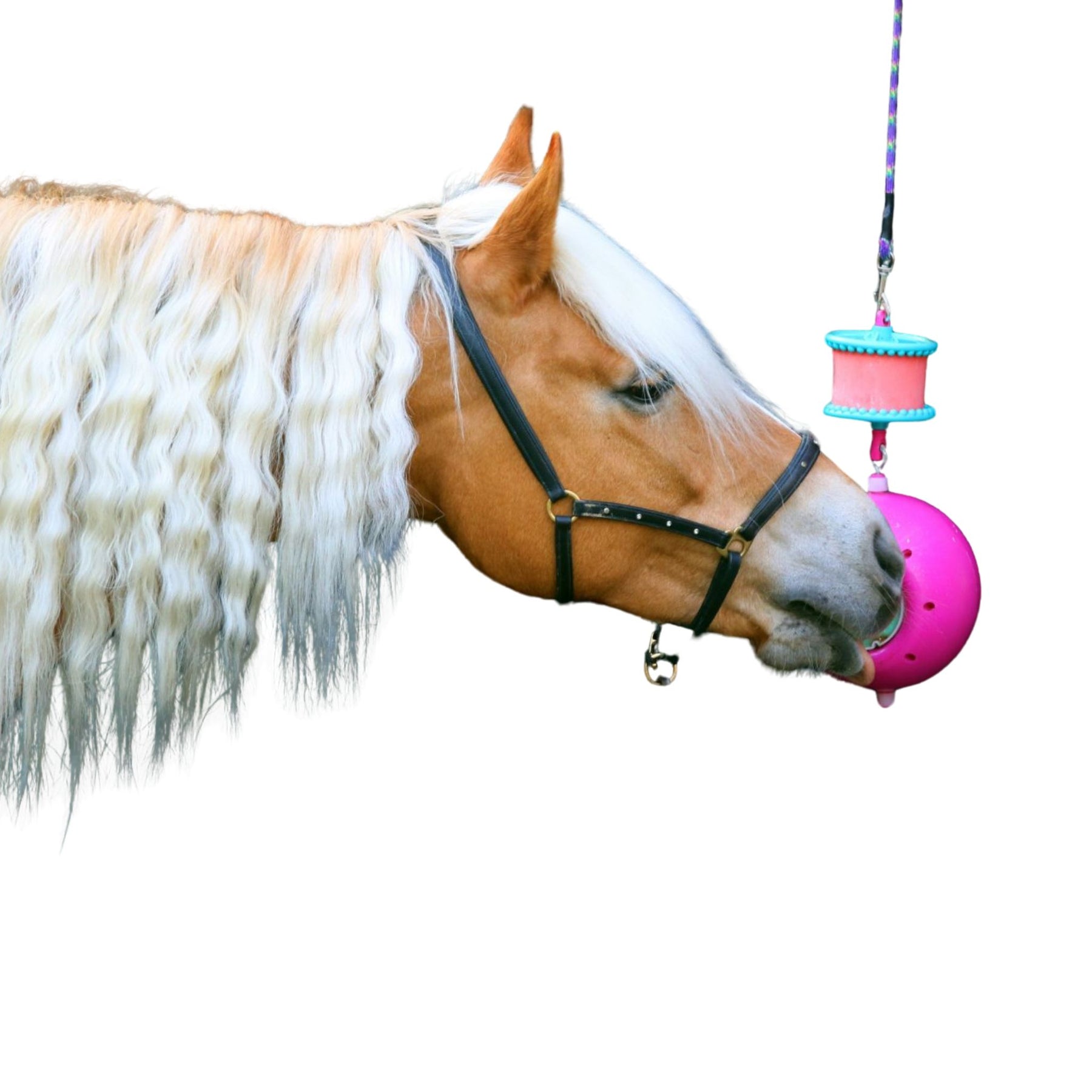 Likit Boredom Breaker in Pink