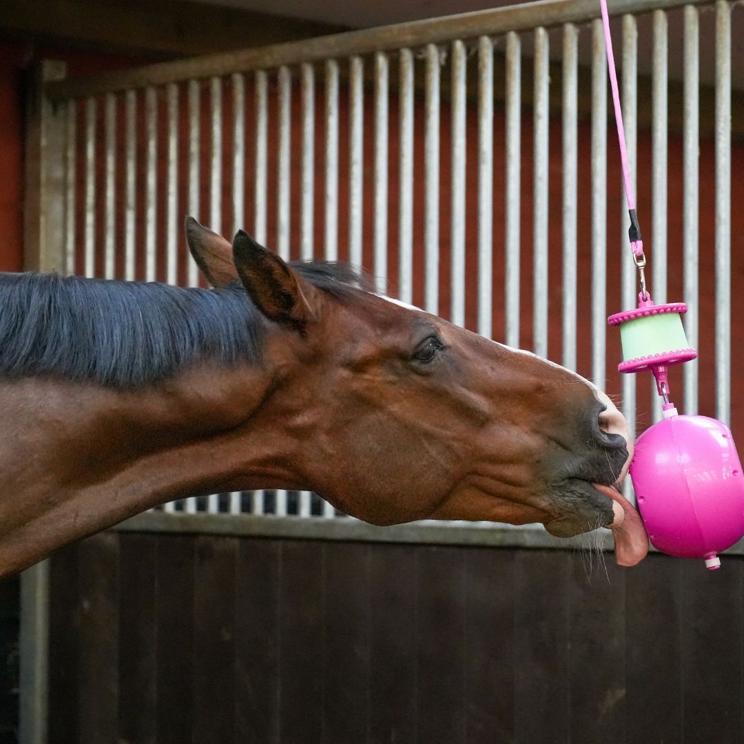 Likit Boredom Breaker in Pink