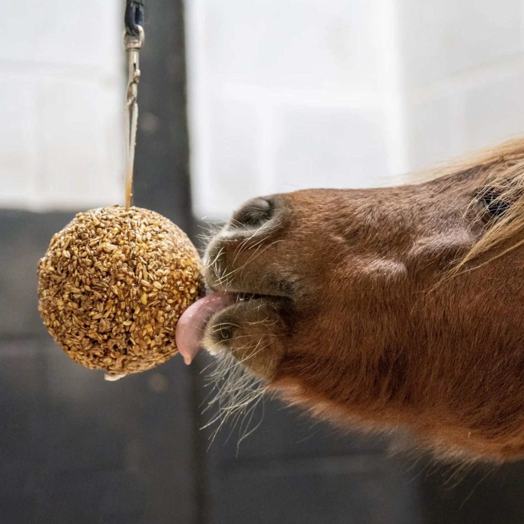 Likit Granola Stall Ball in Apple