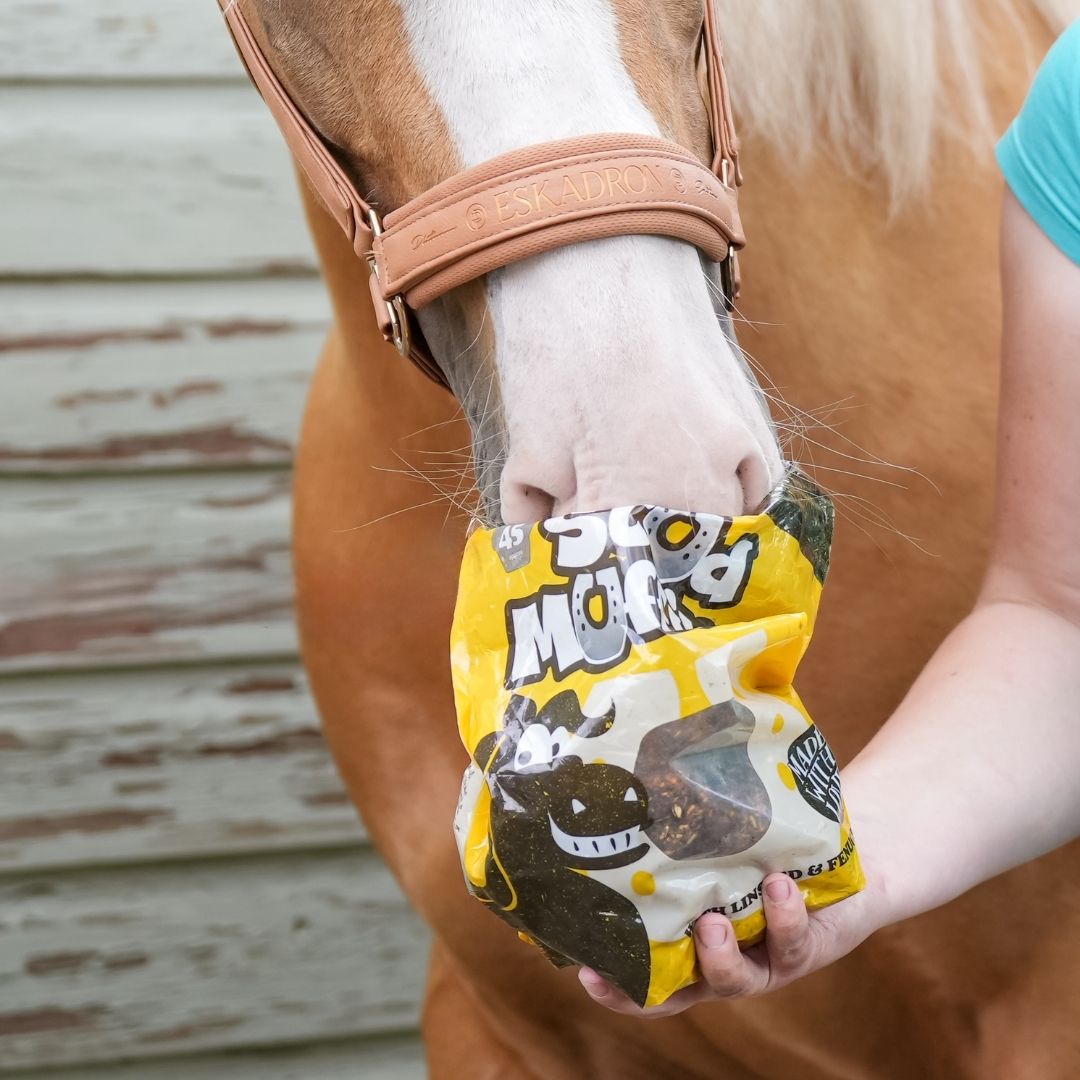 Likit Stud Muffins Horse Treat Pack