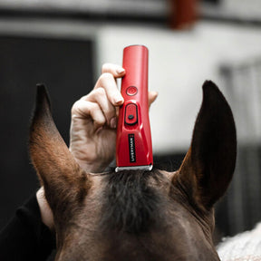 Liveryman Nova Horse Trimmer