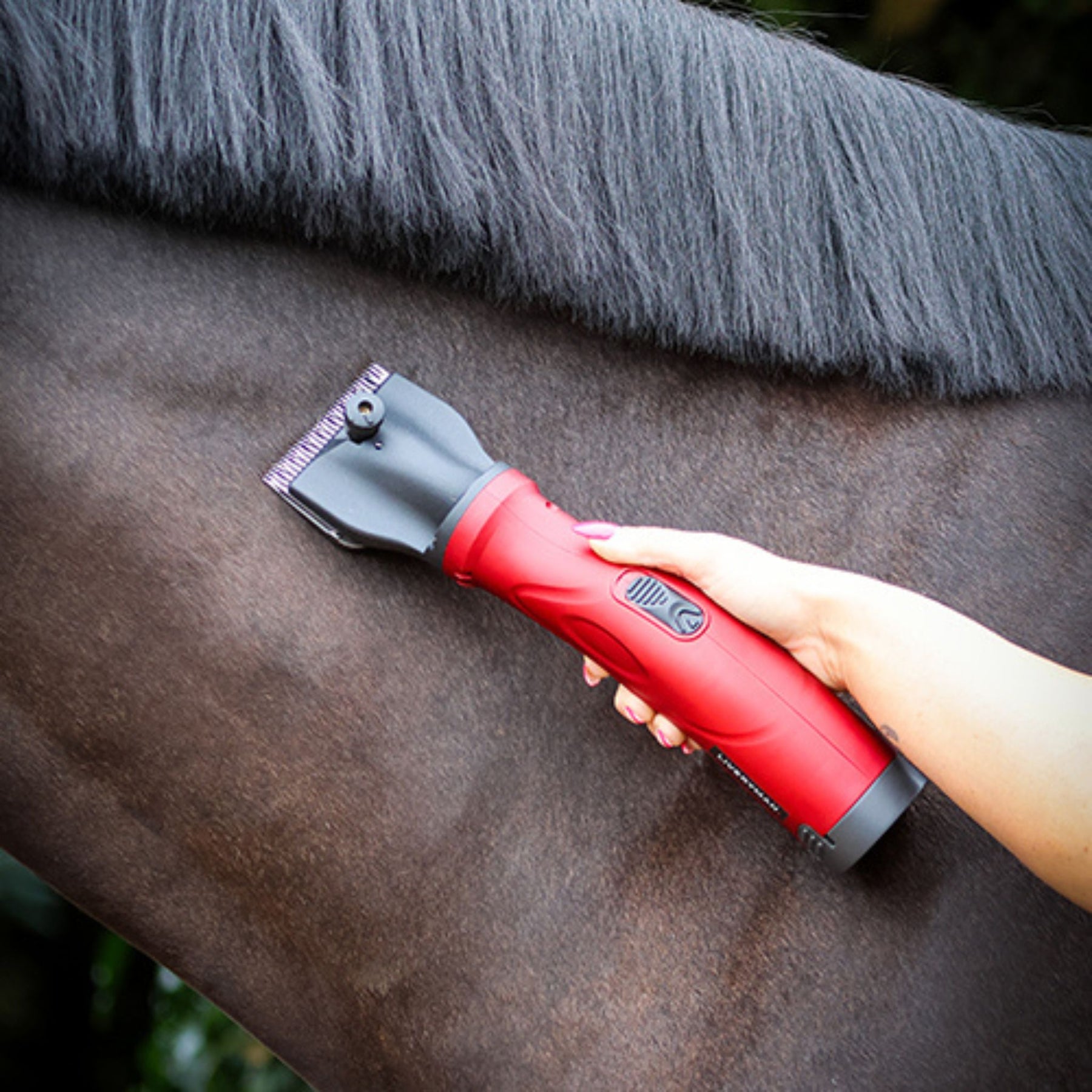 Liveryman Phoenix Horse Clipper