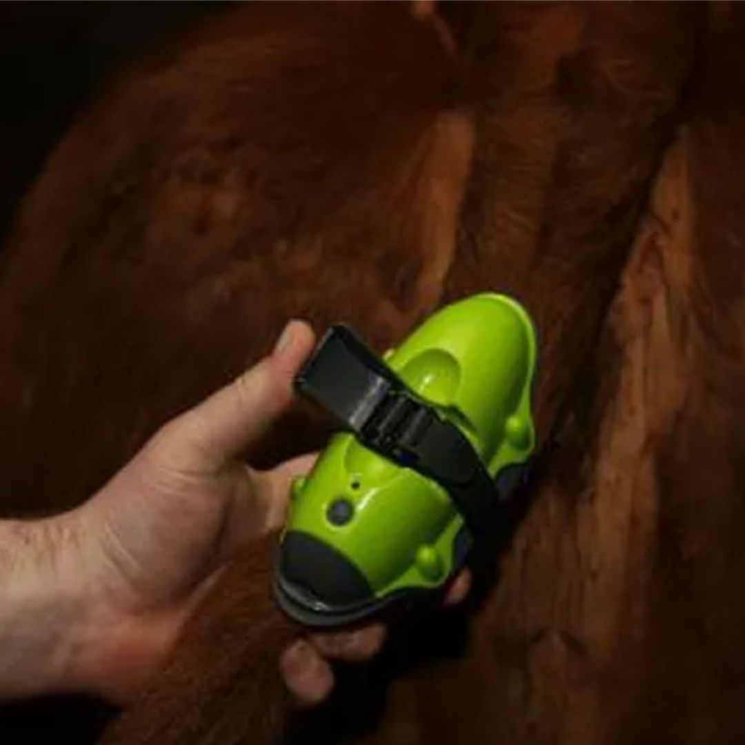 Moocall Calving Sensor