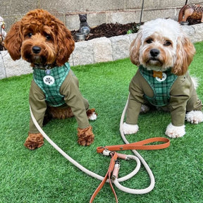 Oh So Fetch Mossy Meadows Padded Dog Harness in Green